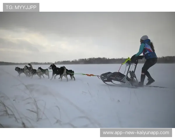 雪橇锦标：俄罗斯队稳居金牌榜，冲击新纪录！，俄罗斯雪橇犬